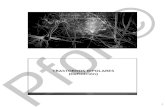 TRASTORNOS BIPOLARES: Disfunción y Neuroprogresiónpfol.info/pdf/conferencias/Neurobiol-ttnos-bipolares.pdf · 2019. 3. 4. · 3 PfOL©2016 Post RMet al. JClin Psychiatry 2003;64:680–690