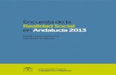 Encuesta de la RealidadSocial en Andalucía 2013 · 2013. 12. 4. · Encuesta de la Realidad Social en Andalucía (ERSA 2013). Centro de Estudios Andaluces (Consejería de la Presidencia,