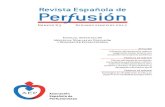 Revista Española de Perfusión...REVISTA ESPAÑOLA DE PERFUSIÓN 1 NÚMERO 63 • SEGUNDO SEMESTRE DE 2017 Editorial 3 Editorial Carmen Luisa Díaz, presidenta de la AEP Revisión