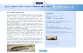 Las noticias destacadas del mes - EUMOFA3+2018+final+ES.pdffueron de 8,72 EUR/kg y 3,10 EUR/kg, respectivamente. La elaboración de surimi, principalmente a base de abadejo de Alaska