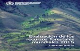 Evaluación de los recursos forestales mundiales 2015COMPENDIO DE DATOS 1 Este documento es una de las tres publicaciones principales que componen la Evaluación de los recursos forestales