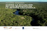 ...El proyecto “Fortalecimiento de la Organizacin del Tratado de Cooperacin Amaznica (OTCA)”, de cooperacin técnica, conocido como Programa Regional Amazonía, es implementado
