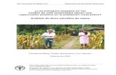 ¿Los enfoques basados en los modos de vida sostenibles ...Repercusión de proyectos basados en los MVS en la población rural pobre: enseñanzas de doce estudios de casos iii jj28