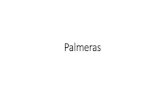 Palmeras - CICY · 2020. 8. 18. · Palmeras Author: Lilia Emma Carrillo Sanchez Created Date: 8/14/2020 6:10:37 PM ...