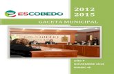 GACETA MUNICIPAL - General Escobedo · 2020. 1. 7. · NOVIEMBRE 2013 NUMERO 48 GACETA MUNICIPAL . 2 INDICE ... RESIDENCIAL SAN MIGUEL 355,193.04 REHABILITACION DE PLAZA PUBLICA VILLAS