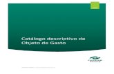 Catálogo descriptivo de Objeto de Gastotransparencia.esonora.gob.mx/.../ObjetodeGasto2019.pdf · 2021. 2. 20. · 2100 MATERIALES DE ADMINISTRACIÓN, EMISIÓN DE DOCUMENTOS Y ARTÍCULOS