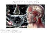 Sistema nervoso - Webnode · 2012. 9. 16. · Sistema Nervoso Central (SNC) e Periférico (SNP) SNC SNP. Evolução do Sistema Nervoso • Poriferos: Ausente • Cnidários: Periférico