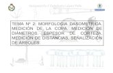TEMA Nº 2: MORFOLOGIA DASOMETRICA. MEDICIÓN DE ...ocw.upm.es/pluginfile.php/1100/mod_label/intro/Tema2.pdfprincipal. (encinas, pino piñonero,...) MORFOLOGÍA DASOMÉTRICA DEL ÁRBOL