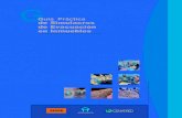 Guía Práctica de Simulacros de Evacuación en Inmueblessismos.gob.mx/work/models/sismos/Resource/44/1/images/... · 2012. 2. 8. · Guía Práctica de Simulacros de Evacuación