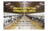 Ciencia y PrácticaCiencia y Práctica Alimentando Vacas · 2009. 1. 9. · Cobalto 0.11 0.15-0.25 Cobre 10-14 15 a 20 Hierro 12-20 NRC Manganeso 12-18 50 – 60 Selenio 0.3 0.3 Zinc