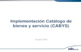 Implementación Catálogo de bienes y servicio (CABYS)...servicio, se complementa con el campo de descripción (ejemplo pizzería). • No existen códigos para paquetes o combos.