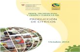 INDICE - Formación Técnica Profesional Bolivia · PERFIL PROFESIONAL DEL PRODUCTOR DE “CITRICOS”.....5 2.1. Estructura de Unidades de Competencia ... huerto frutal de acuerdo
