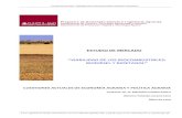 ESTUDIO DE MERCADO “VIABILIDAD DE LOS BIOCOMBUSTIBLESde… · Estudio de mercado “Viabilidad de los Biocombustibles: biodiésel y bioetanol” RESUMEN El presente estudio forma