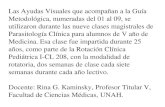 Metodológica, numeradas del 01 al 09, se utilizaron ... · Fase cronica Cardiopatia Sindrome de mega (sur de la region Amazonica) Objetivo no. 4. Clínica, Enfermedad de Chagas Enfermedad