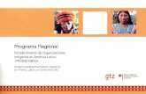Programa RegionalPara alcanzar el objetivo del programa trabajamos en tres componentes: 1. Apoyo a las organizaciones indígenas en su posicionamiento en tres temas: gobernabilidad,