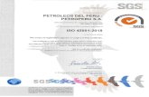 Petroperú · 2020. 9. 3. · Comercialización;recepción, almacenamiento y despacho de Turbo M, Gasolina100LLen: Aeropuertos de Chiclayo, Trujillo, Pisco, Arequipa, Tacna y Cusco