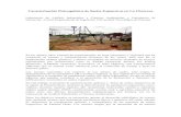 Caracterización Fisicoquímica de Suelos Expansivos en La Chorrera · 2012. 4. 23. · los suelos de la región, para así discernir si los suelos expansivos de la región de La