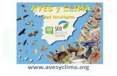 Aves y Clima: Red Fenológicaescolesxesc.cat/documents/simposi2/7_nusos_aves_clima... · 2015. 2. 26. · Aves y clima: xarxa fenològica Recull de dades de fenologia (Migració,