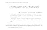 Foraminíferos bentónicos de las arenas pliocenas de El Rompido … · 2012. 11. 21. · STVDIA GEOLÓGICA SALMANTICENSIA, XXV, 187-204 (1988) FORAMINÍFEROS BENTÓNICOS DE LAS ARENAS