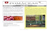 POMÁCEAS - utalcapomaceas.utalca.cl/wp-content/uploads/2016/06/Boletin_N04_6.pdf · Drenaje (CITRA), el CP adquirió un scanner de raíces, para el estudio del desarrollo del sistema