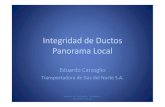 Integridad de Ductos Panorama Local · 2011. 9. 12. · ASME B31.8S –ManagingSystemIntegrityof Gas Pipelines En el año 2001 se publicó el Suplemento S de B31.8, que establece