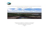 Descripción del área protegida · 2019. 4. 15. · 1. Generalidades del área protegida Ubicación del área protegida Departamento del Vichada, Municipios de Cumaribo y La Primavera.