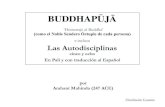 ‘Homenaje al Buddha’ e incluso Las Autodisciplinasespanol.buddhistdoor.net/wp-content/uploads/2020/12/...2020/12/08  · simbolizando el cuerpo del Buddha mismo. 2.2.2.1 Sentado