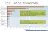 The Trace Minerals · (sirkulasi enterohepatik). Total iodium yang masuk kedalam cairan ekstraseluler adalah 500+40+60 atau 600 μg per hari, 20% dari iodium masuk ke dalam kelenjar