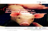 Manual de en la Producción Granjas Porcícolas 2 edición 2016 · 2020. 3. 12. · promueven la inocuidad en la producción de los alimentos. El Plan Nacional de Desarrollo 2013-2018