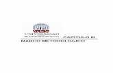 CAPÍTULO III MARCO METODOLOGICO - urbe.eduvirtual.urbe.edu/tesispub/0095501/cap03.pdf · 2013. 6. 13. · los procesos actualmente para proponer un diseño que le dé solución al