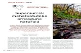 Supersurrek mehatxatutako arnasgune naturala · 2014. 3. 28. · Pagasarri mendiaren oinetan, Bolin-txuko troka sakona ukituko lukete, “esangura bereziko ingurunea, naturaren eta