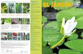 Glosario EL JARDÍN - MAPR · 2020. 8. 7. · El Jardín Escultórico del Museo de Arte de Puerto Rico constituye un importante ecosistema urbano en San Juan. Es el único pulmón