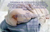 PRESENCIA DE ANTICUERPOS CONTRA Ehrlichia canis EN …biblioteca.itson.mx/dac_new/tesis/266_maria_leal.pdf · 2012. 10. 25. · de inmunofluorescencia indirecta (IFA). El objetivo