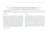 Resistencia a Colletotrichum lindemuthianum en frijol común … · 2019. 9. 30. · Resistencia a Colletotrichum lindemuthianum en frijol común transgénico, expresando el gen defensina