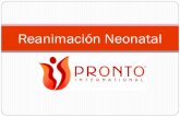 Reanimación Neonatal - PRONTO Internationalprontointernational.org/.../2014/12/Reanimacion-Neonatal.pdf · 2016. 8. 9. · Neonatal ! Los primeros pasos de la reanimación neonatal: