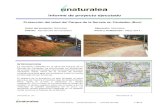Informe de proyecto ejecutado - Naturalea · 2018. 7. 7. · Informe de proyecto ejecutado Protección del talud del Parque de la Serreta en Cardedeu (Bcn) Autor del proyecto: Naturalea