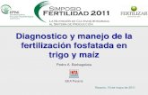Diagnostico y manejo de la fertilización fosfatada en ...lacs.ipni.net/ipniweb/region/lacs.nsf/0... · Ferrari, Barbieri, Echeverría, Ross, Vera Candioti, Vivas, ... través del