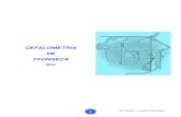CEFALOMETRIA DE FFONSECA€¦ · PUNTOS CEFALOMETRICOS. (Fig. 3 ) PLANOS Y ANGULOS CEFALOMETRICOS. CLASE ESQUELETAL. 01. Relación maxilomandibular: punto A y B perpendicular a la