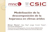 Modelización de la descomposición de la hojarasca en climas …digital.csic.es/bitstream/10261/147395/11/Flores... · 2019. 8. 8. · Modelización de la descomposición de la hojarasca