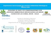 ESQUEMA DE PAGO Y/O COMPENSACIONES POR SERVICIOS …elti.fesprojects.net/2013 Cali/j.gallo.neiva.pdf · 2013. 4. 30. · 5. Potencialidades para la ejecución ESQUEMA DE PAGO Y/O