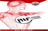 MTF 2020 - EXS Exercise School · 2020. 11. 9. · Fisiologia Articular e Muscular Específicas Construçäo e Monitorizaçäo de Exercícios "Sentir' Modelo Operacional de Tornada