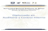 Diplomado en Auditoría y Control Internodec.fca.unam.mx/programacion/interno/temario.pdf · 2020. 10. 2. · 6 TEMARIO AUDITORÍA Y CONTROL INTERNO EN LA FUNCIÓN PÚBLICA Y PRIVADA