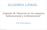 ALGEBRA LINEALrenatoshared.weebly.com/uploads/5/5/7/6/55764051/... · 2019. 11. 19. · ALGEBRA LINEAL MsC. Andrés Baquero Capítulo III: “Vectores en los espacios bidimensional