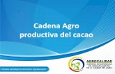 Cadena Agro productiva del cacao - UNCTAD | Home...74.8 12.2 13 Africa Asia ALC • África, Asia y Brasil producen el 95% cacao ordinario. • Ecuador, Indonesia, P. N. Guinea 5%