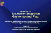 Seminario N Evaluación Ecográfica Gastrointestinal Fetal · 2017. 5. 12. · Seminario N°55 Evaluación Ecográfica Gastrointestinal Fetal Dres. ... • Vesícula biliar se forma