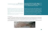 Rosario Los problemas del agua en CAMACHO MARTÍNEZ ...43 Los problemas del agua en Málaga en el siglo XVIII: El Acueducto de San Telmo y su valoración actual Figura 2. Catedral