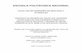 ESCUELA POLITÉCNICA NACIONALbibdigital.epn.edu.ec/bitstream/15000/19836/1/CD-9242.pdf · 2019. 4. 7. · 2. FRACTURAMIENTO HIDRAÚLICO ..... 6 2.1. ESTUDIO DE PROCEDIMIENTOS OPERACIONALES