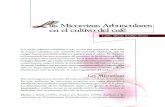 Micorrizas Arbusculairs - CENICAFE: Home...micorrizas en Ectornicorriza, Endomicorriza y un grupo intermedio manihotis. 10X. iniiorrizaN ,,thuNdilart.sN.en d cuiti‘o del caté 65