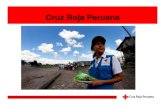 Cruz Roja Peruana - INDECI Tarea de Todos...Movimiento Cruz Roja canal de reportes continuo Solicitud de apoyo internacional Centros de referencia • Preparación Institucional para