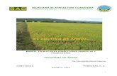 SECRETARIA DE AGRICULTURA Y GANADERÍA-Manual-cultivo-de-arroz,-L.pdf7. Preparación de tierras en el cultivo del arroz: Preparación de suelos en condiciones de suelo seco. Preparación